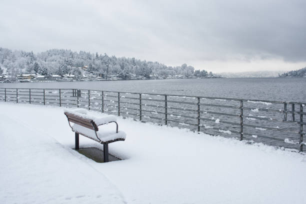 Newcastle Beach Park, Bellevue Washington