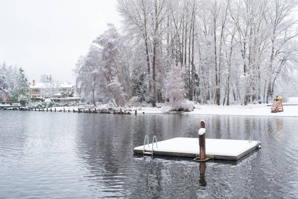 istock Winter Snowy Bellevue Washington 1174316824