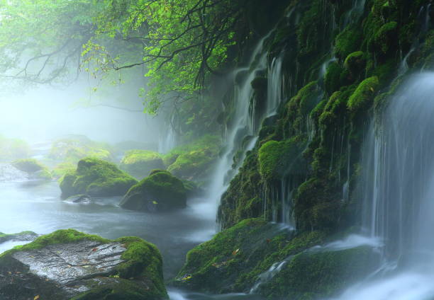 Akita Prefecture Summer Falls