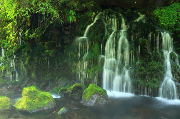 istock Akita Prefecture Summer Falls 1174316897