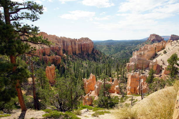 istock Bryce Canyon National Park 1174317694