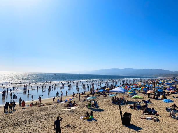 santa monica beach - santa monica beach beach california wave imagens e fotografias de stock