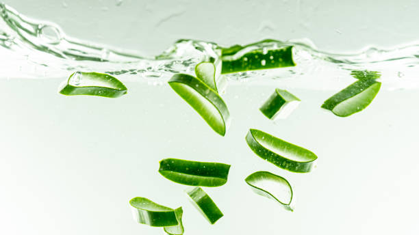 istock Aloe vera splashing in the water 1174332161
