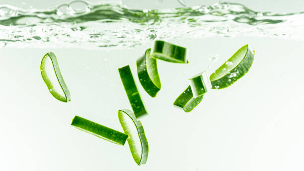 istock Aloe vera splashing in the water 1174332162