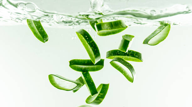 istock Aloe vera splashing in the water 1174332173