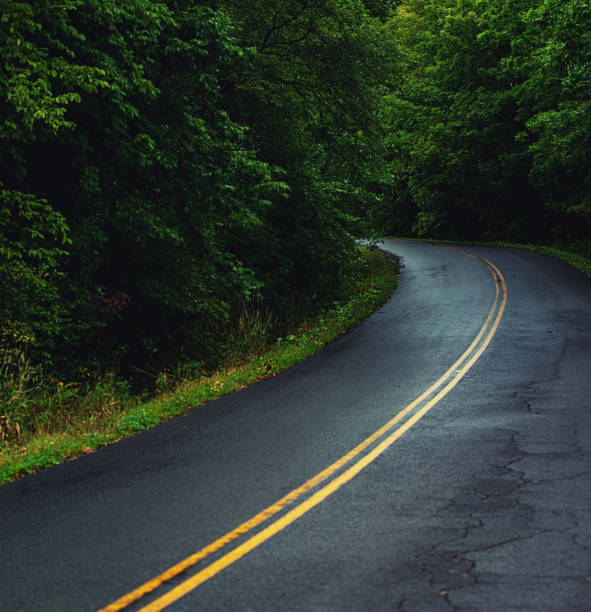 istock Curving Country Road 1174332959