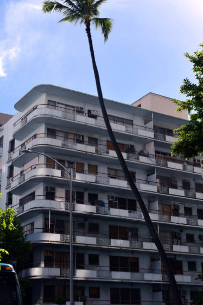 palmiers et sommets de bâtiment à honolulu, hawaii, etats-unis. fond tropical de vacances de ville - built structure building exterior architecture waikiki photos et images de collection