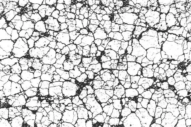 Vector illustration of Drought Cracked Ground Soil Grunge Textured Black and White Background