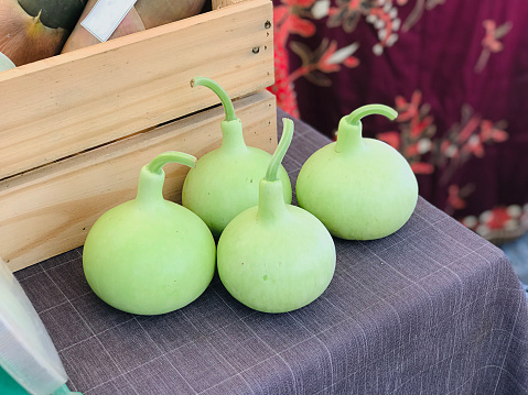 Fruits of Calabash or Bottle gourd or White-flowered gourd or Long melon or New Guinea bean or Tasmania bean.