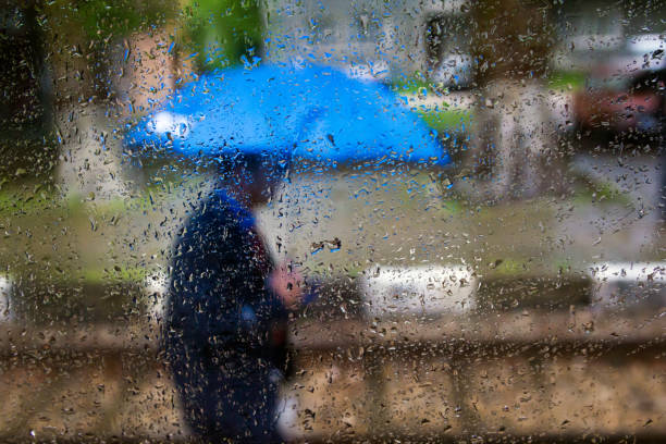Man with umbrella on the street seen from behind