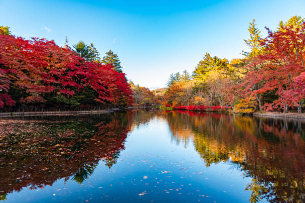 istock Kumobaike Pond autumn foliage scenery view, multicolor reflecting on surface in sunny day 1174366323