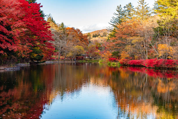 istock Kumobaike Pond autumn foliage scenery view, multicolor reflecting on surface in sunny day 1174366345