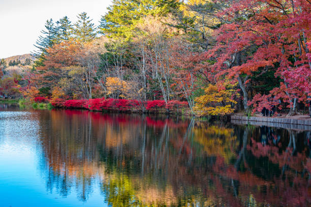 istock Kumobaike Pond autumn foliage scenery view, multicolor reflecting on surface in sunny day 1174366377