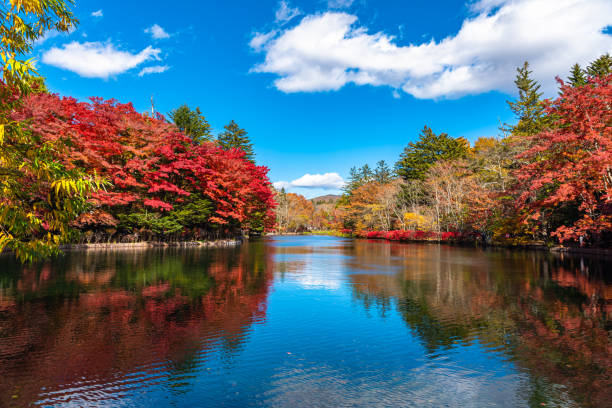 istock Kumobaike Pond autumn foliage scenery view, multicolor reflecting on surface in sunny day 1174366385