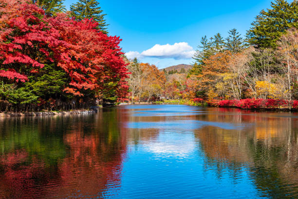 istock Kumobaike Pond autumn foliage scenery view, multicolor reflecting on surface in sunny day 1174366415