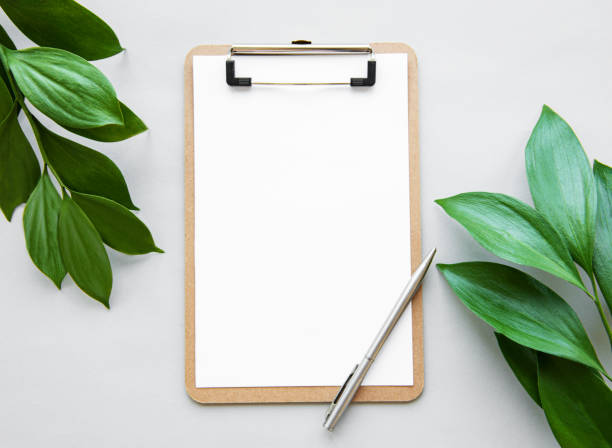 istock Clipboard and green leaves 1174369280