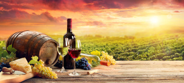 fass weingläser käse und flasche in weinberg bei sonnenuntergang - wine region stock-fotos und bilder