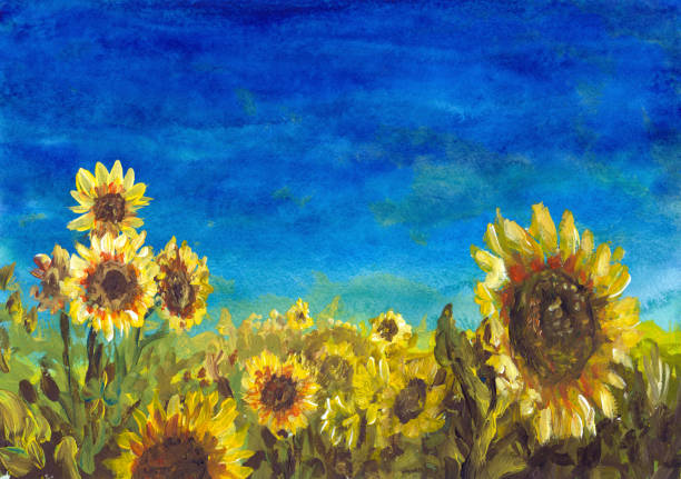 ilustraciones, imágenes clip art, dibujos animados e iconos de stock de pradera de verano con girasoles, pintura de acuarela - sunflower landscape flower field