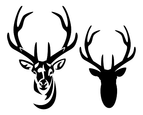 wild deer stag head with big antlers front view black and white vector silhouette and outline