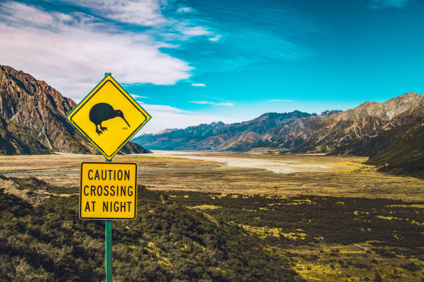 segnale di avvertimento kiwi bird vicino alla strada in nuova zelanda - franz josef glacier foto e immagini stock