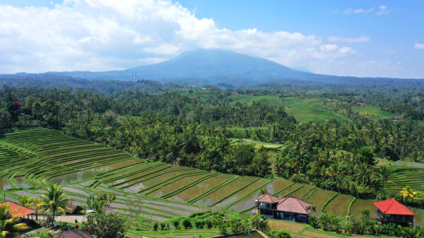 istock Belimbing Village, Pupuan 1174379169