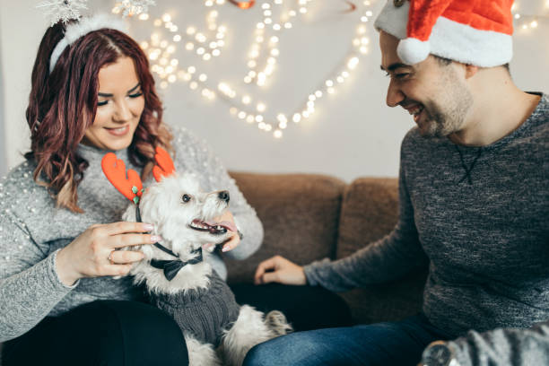 istock Millennial couple playing with cute dog 1174383282