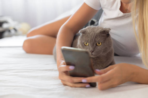 istock Woman with cat in bed 1174399983