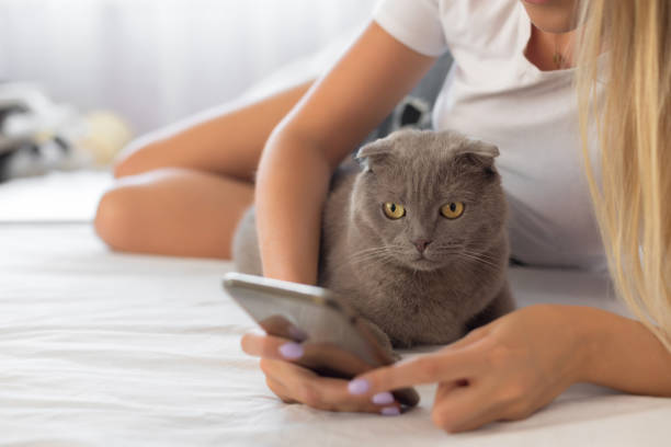 istock Woman with cat in bed 1174400537