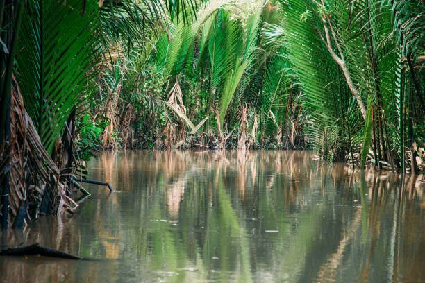 istock Mekong Delta river in Vietnam 1174401433