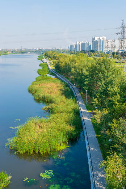 istock Park and multi-storey residential buildings 1174407995