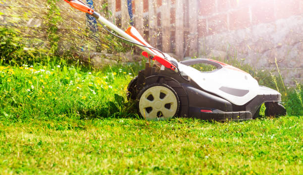 istock Electricity powered lawnmower cutting fresh grass on lawn 1174410155