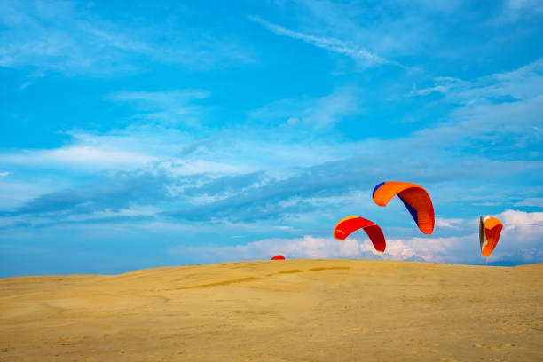 Enjoy paragliding at the Tottori Sand Dunes