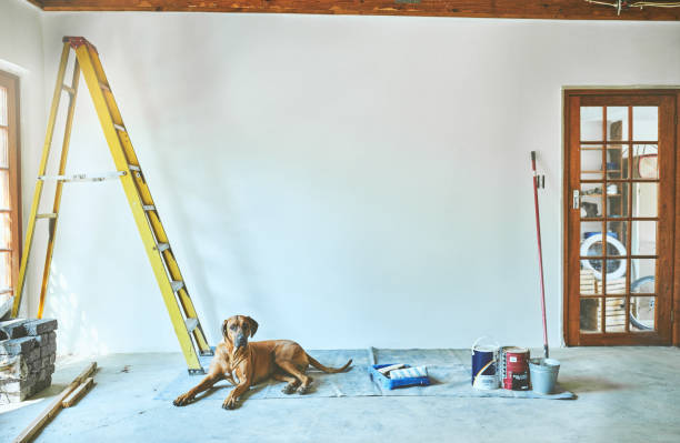 당신의 가정을 리모델링 생각? - repairing apartment home improvement painting 뉴스 사진 이미지