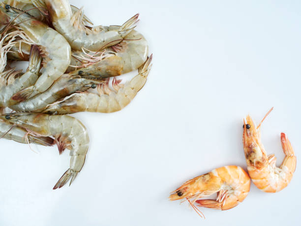 istock Cooked shrimp and fresh shrimp placed on a white kitchen table 1174421348