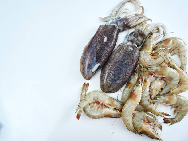 istock Fresh seafood. Fresh squid and shrimp on the white kitchen table 1174421362