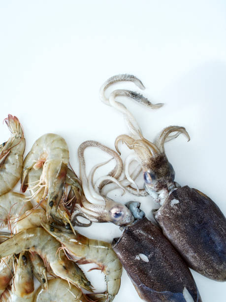 istock Fresh seafood. Fresh squid and shrimp on the white kitchen table 1174421427