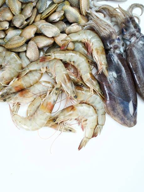istock Seafood, squid, shrimp and shellfish on a white background 1174421464