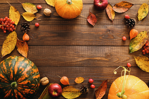 Concepto de Feliz Día de Acción de Gracias. Composición de otoño con calabazas naranjas maduras, hojas caídas, flores secas sobre mesa de madera rústica. Plano, vista superior, copiar espacio. photo