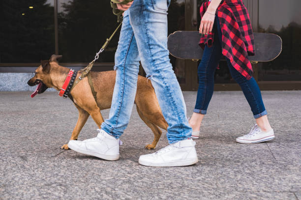 istock Young people walk the dog on a pavement. 1174422660