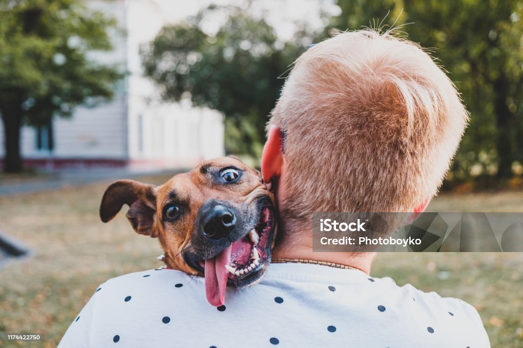 Human And Dog Friendship Young Man Hugs His Funny Dog Stock Photo -  Download Image Now - iStock