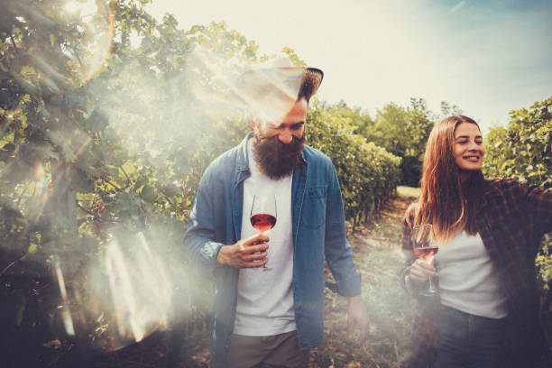 sentez le soleil, goûtez le vin et souriez - winemaking photos et images de collection