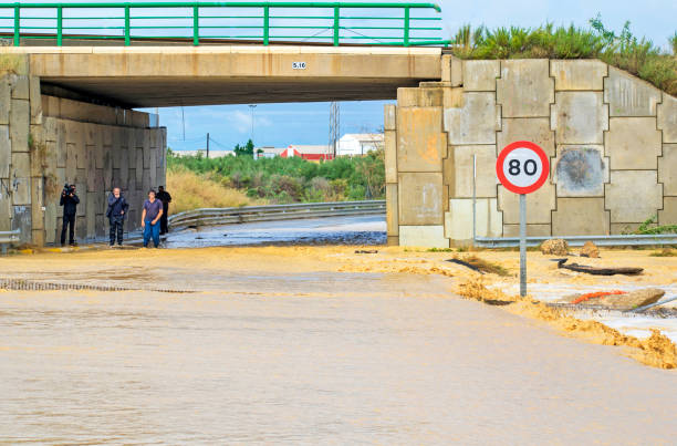 Pond view,Gölet Mevkii,Tire,İzmir,Türkiye