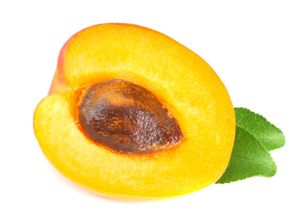 istock apricot slice with green leaf isolated on a white background 1174426921