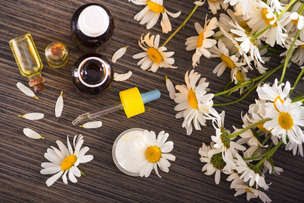 istock cosmetic and medical organic concept. 1174427615