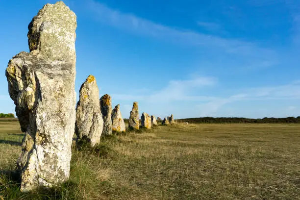 view of prehistoric monolith stone alignments in Brittany in warm morning light