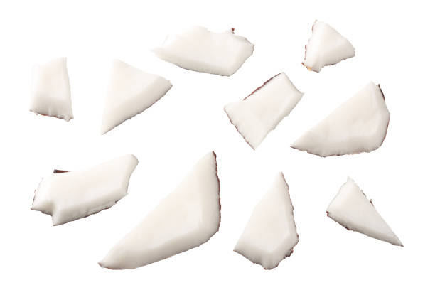 istock Coconut pieces isolated on white background. top view 1174430526