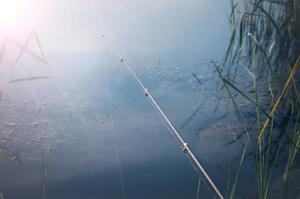 Photo of Fishing rod is thrown into a pond durig fishing.