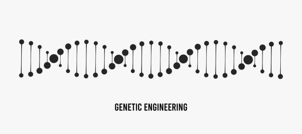 ilustraciones, imágenes clip art, dibujos animados e iconos de stock de ilustración vectorial de adn. concepto de ingeniería genética - helix