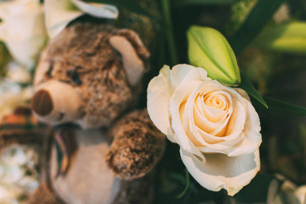 istock Cute teddy Bear toy with a fresh white rose 1174431662