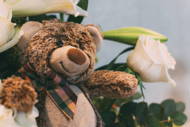 istock white roses and a teddy bear on white background 1174431665